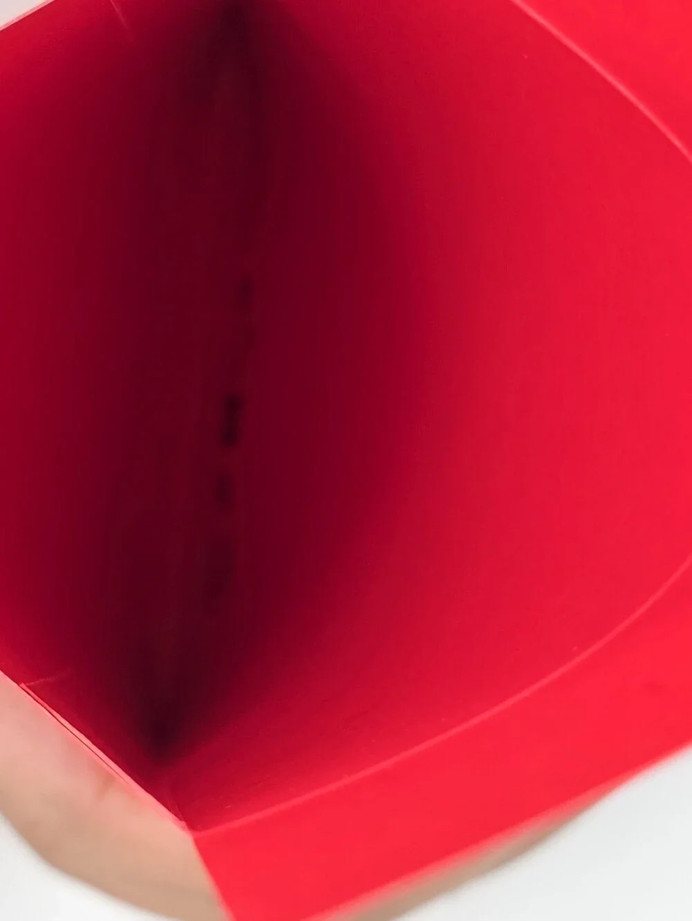 Chinese Lunar New Year Money Envelope